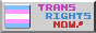button, trans rights now! beside a trans flag